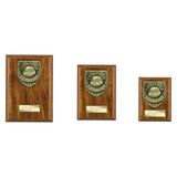 Cobra Plaque Thank you Coach Award - Trophies - Prudhoe Rosettes