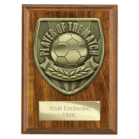 Cobra Plaque Player of Match Award