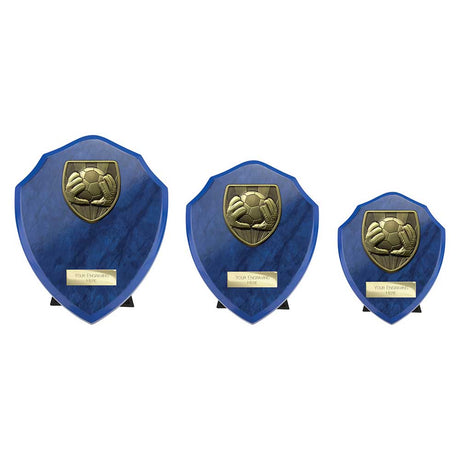 Cobra Shield Football Goal Keeper Award - Trophies - Prudhoe Rosettes