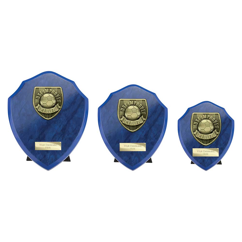 Cobra Shield Most Improved Player Award - Trophies - Prudhoe Rosettes