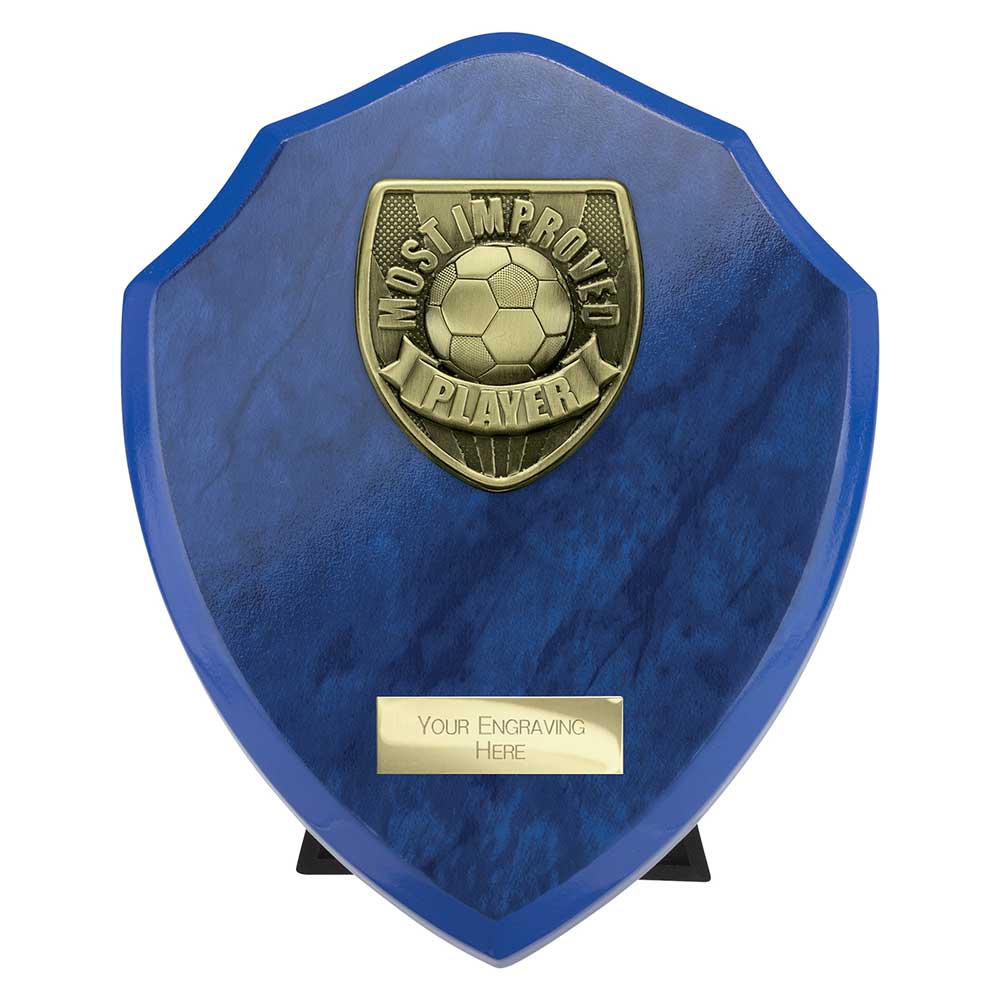 Cobra Shield Most Improved Player Award