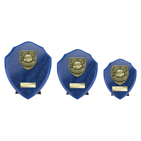 Cobra Shield Player of Year Award - Trophies - Prudhoe Rosettes