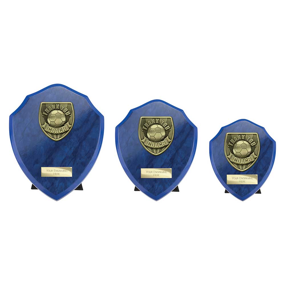 Cobra Shield Thank you Coach Award - Trophies - Prudhoe Rosettes