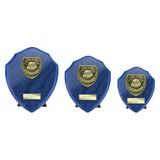Cobra Shield Thank you Coach Award - Trophies - Prudhoe Rosettes