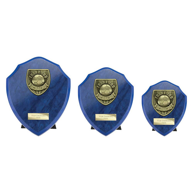 Cobra Shield Thank you Coach Award - Trophies - Prudhoe Rosettes