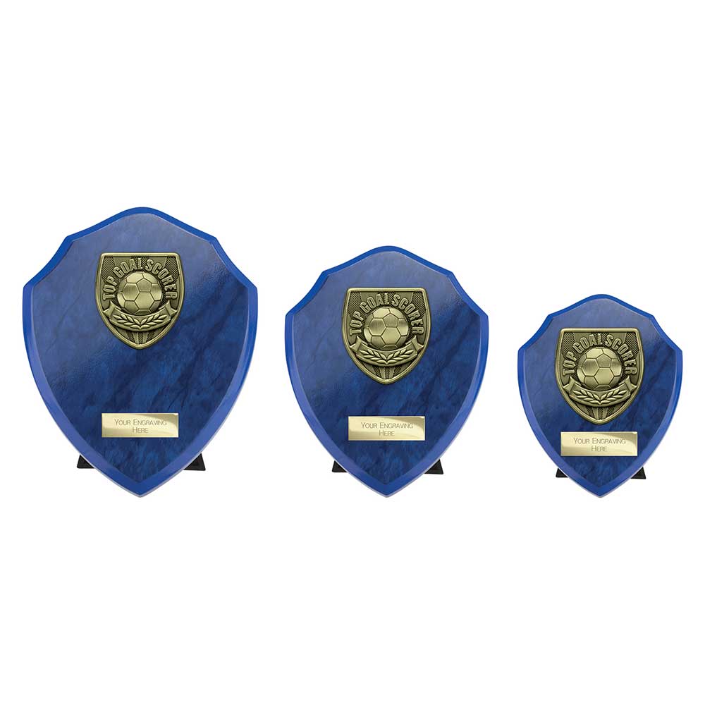 Cobra Shield Top Scorer Award - Trophies - Prudhoe Rosettes