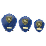 Cobra Shield Top Scorer Award - Trophies - Prudhoe Rosettes