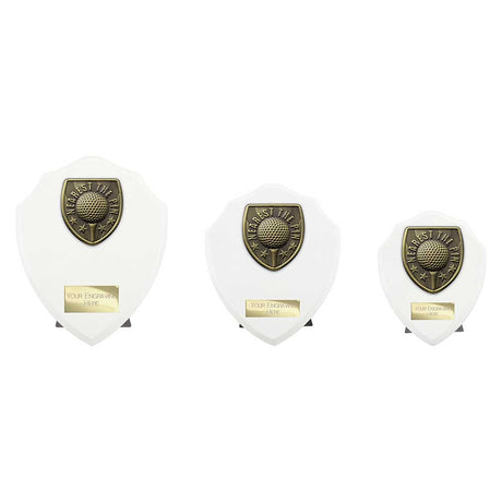 Cobra Shield Golf Nearest the Pin Award - Trophies - Prudhoe Rosettes