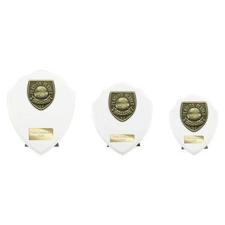 Cobra Shield Players Player Award - Trophies - Prudhoe Rosettes
