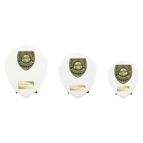 Cobra Shield Player of Year Award - Trophies - Prudhoe Rosettes