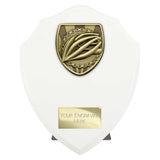 Cobra Shield Cycling Award