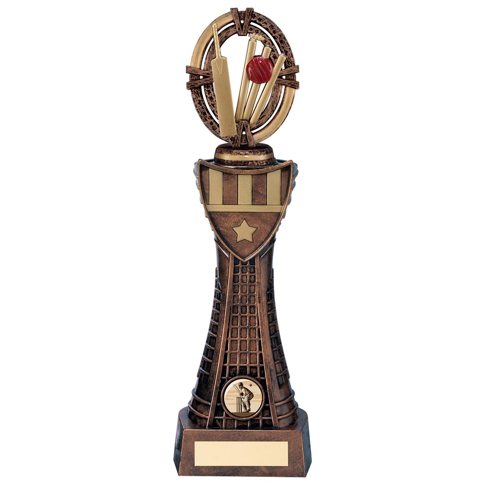 Maverick Cricket Heavyweight Award