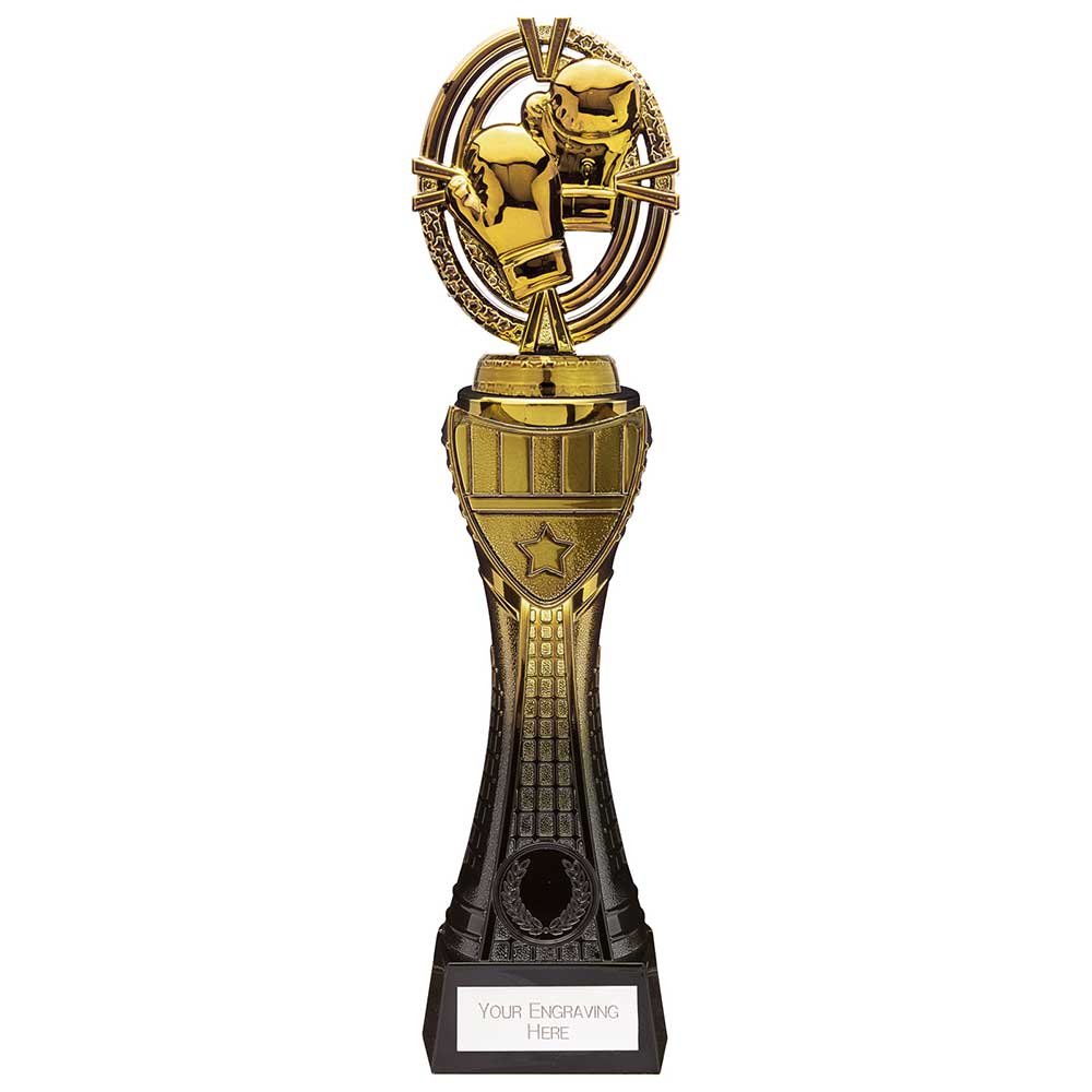 Maverick Heavyweight Boxing Award
