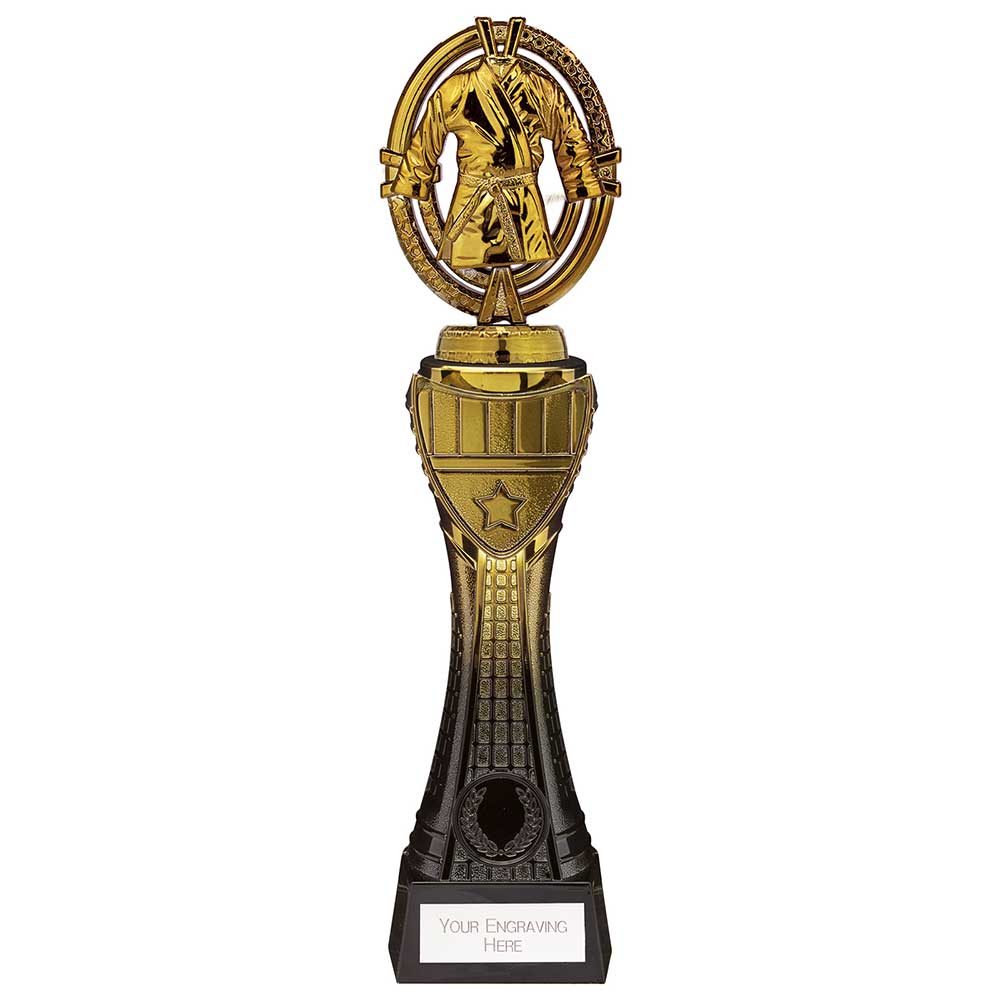 Maverick Heavyweight Martial Arts Award