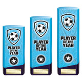 Prime Heavyweight Player of Year - Trophies - Prudhoe Rosettes
