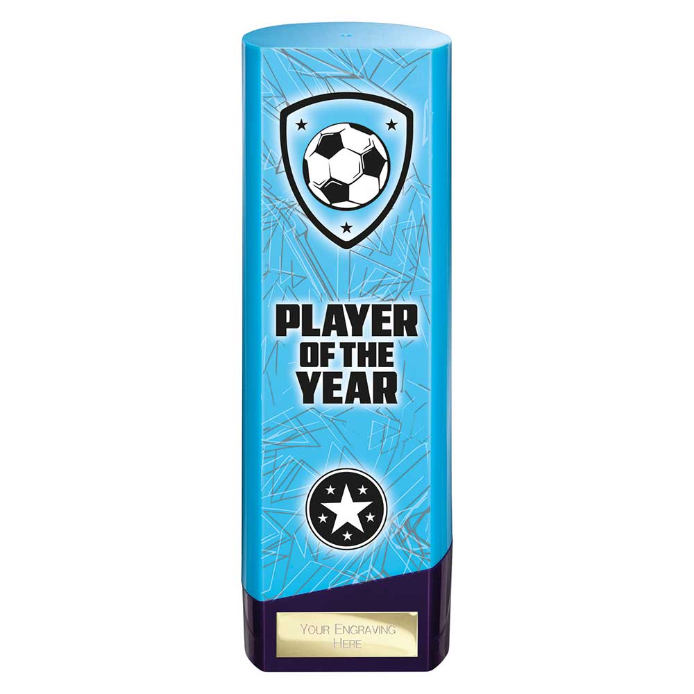 Prime Heavyweight Player of Year