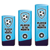 Prime Heavyweight Player of Month - Trophies - Prudhoe Rosettes