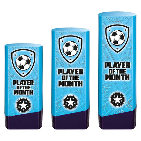 Prime Heavyweight Player of Month - Trophies - Prudhoe Rosettes