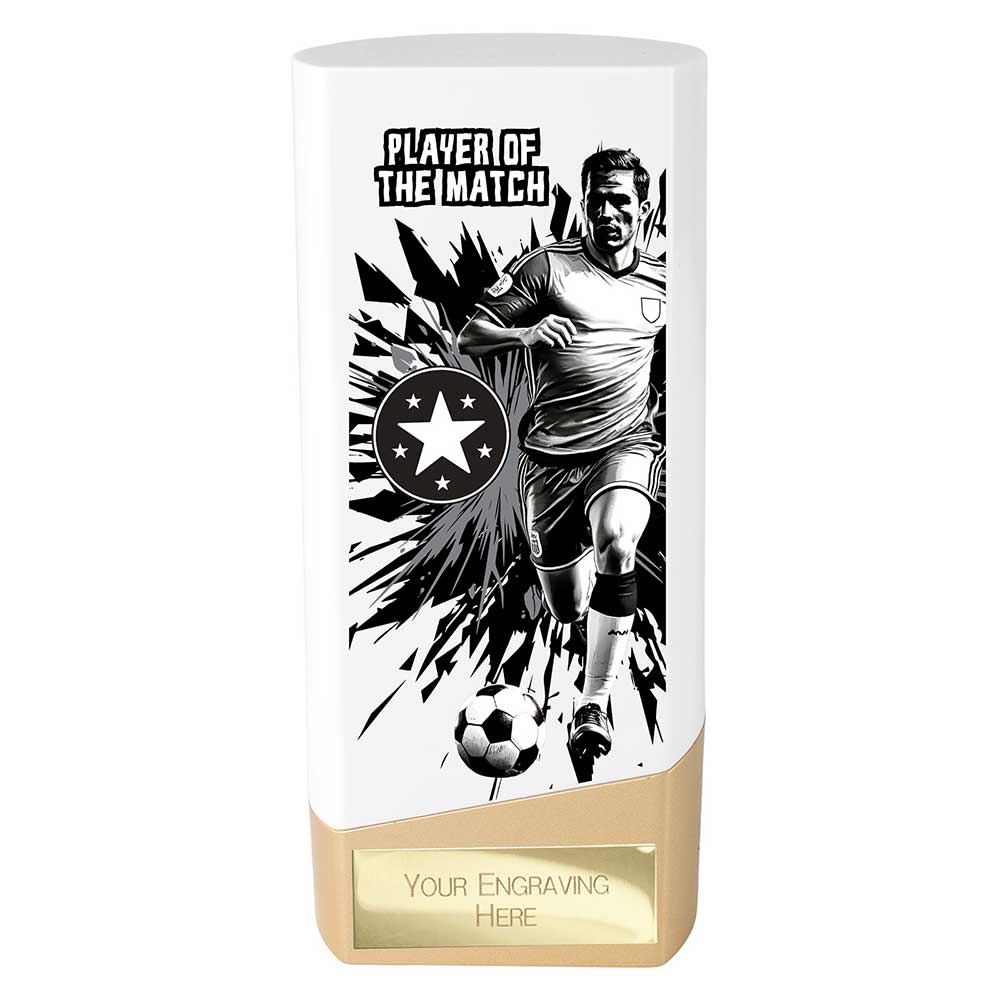 Prime Heavyweight Player Award (Various Options)