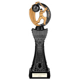 Renegade Heavyweight Cricket Award