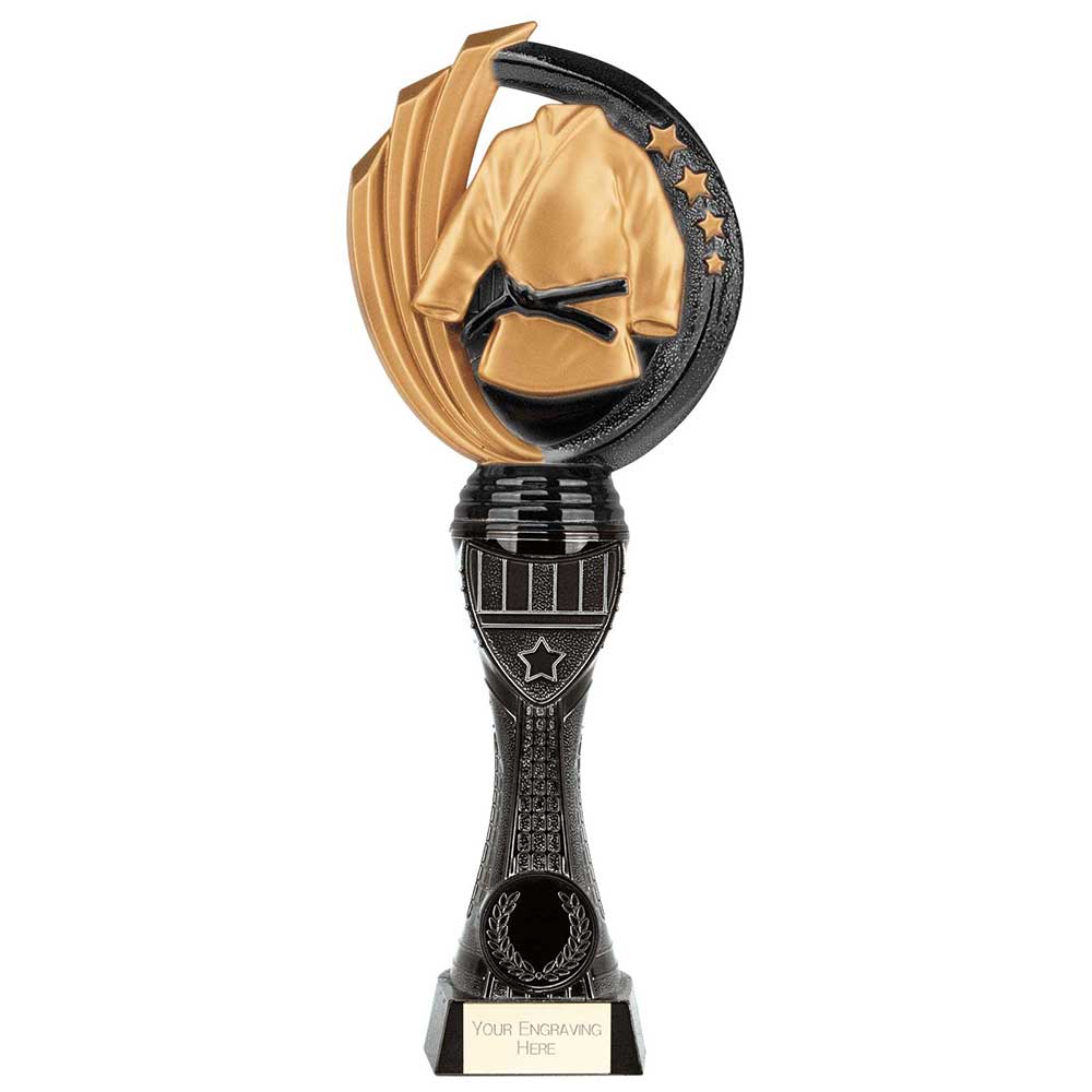 Renegade Heavyweight Martial Arts Award