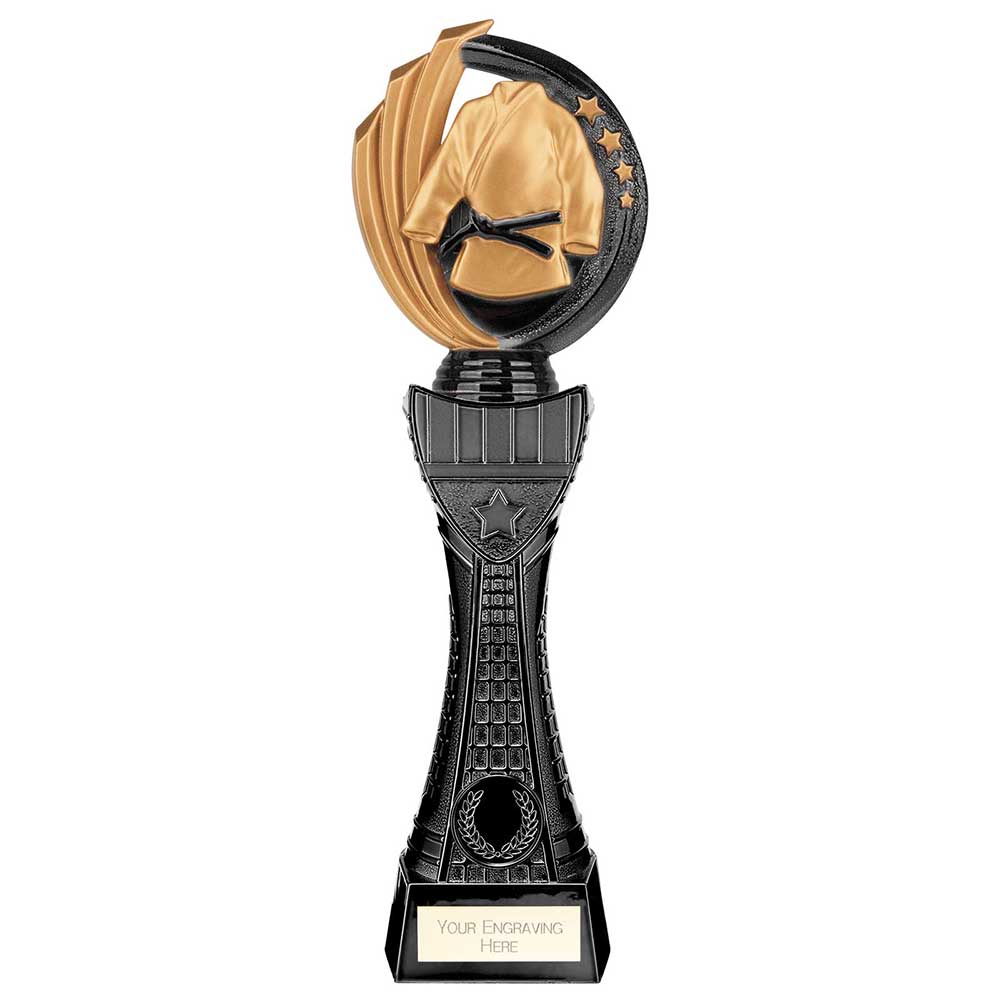 Renegade Heavyweight Martial Arts Award