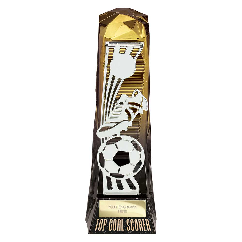 Shard Football Top Goal Scorer Award