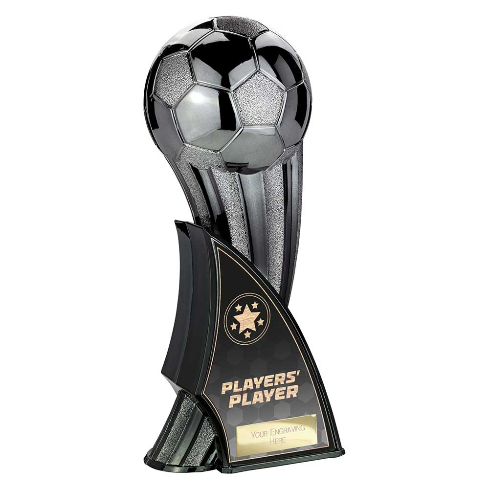 Firestorm Heavyweight Players Player