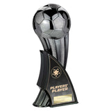 Firestorm Heavyweight Players Player