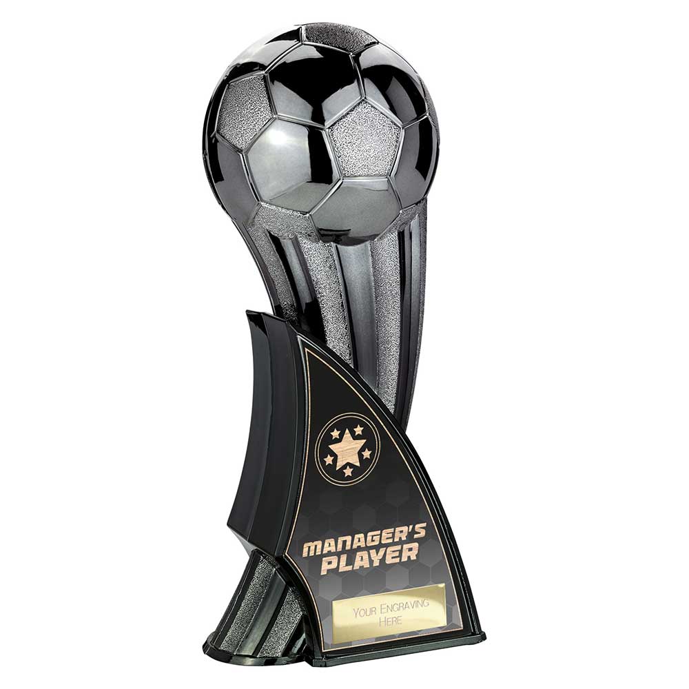 Firestorm Heavyweight Managers Player