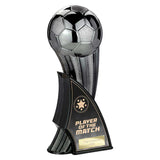 Firestorm Heavyweight Player of Match