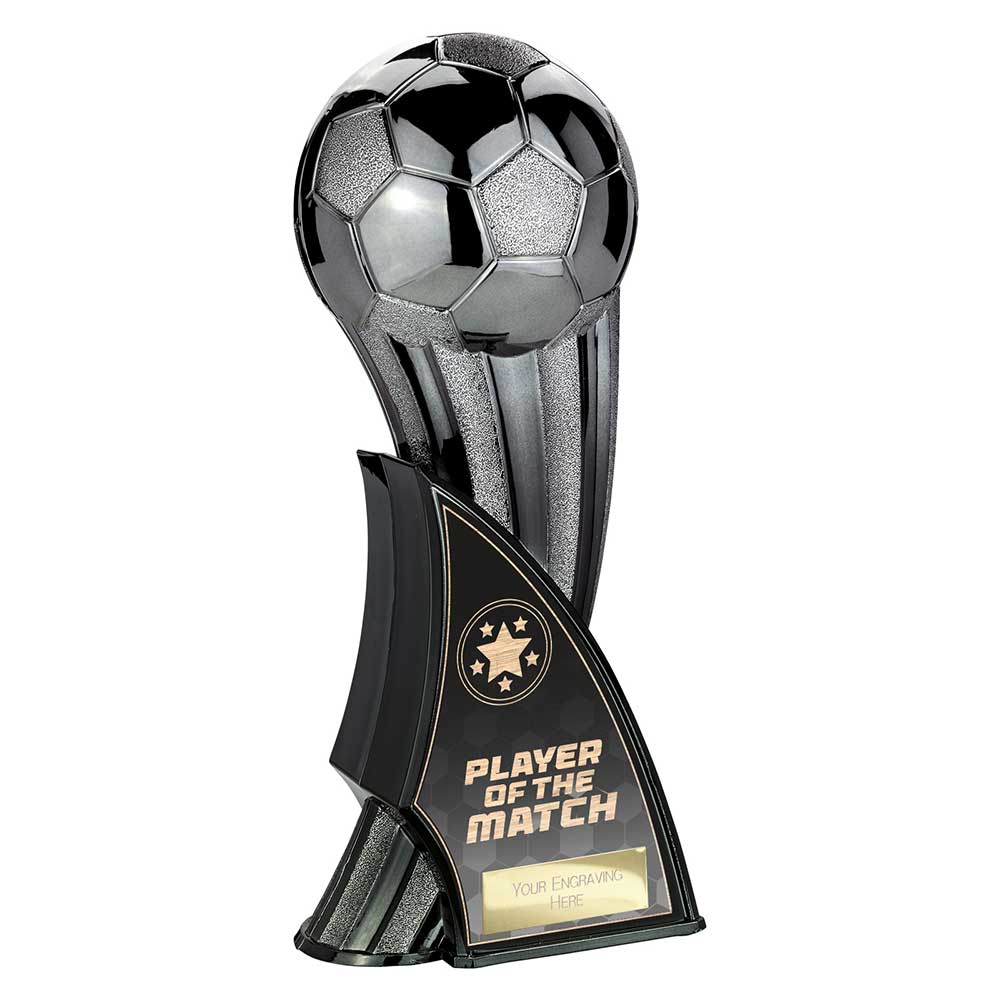 Firestorm Heavyweight Player of Match