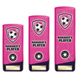 Prime Heavyweight Managers Player - Trophies - Prudhoe Rosettes