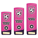 Prime Heavyweight Managers Player - Trophies - Prudhoe Rosettes