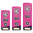 Prime Heavyweight Thank You Coach - Trophies - Prudhoe Rosettes