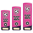 Prime Heavyweight Player of Month - Trophies - Prudhoe Rosettes