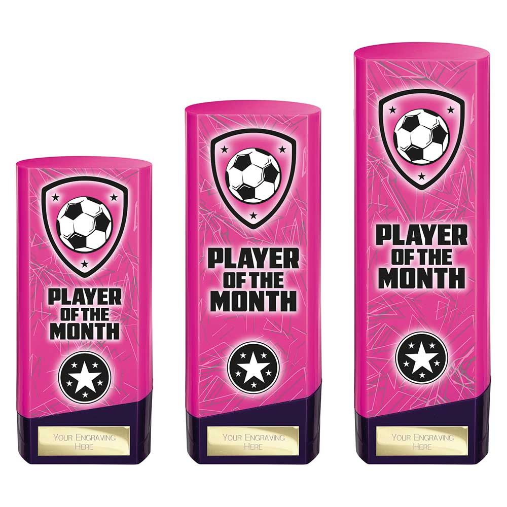 Prime Heavyweight Player of Month - Trophies - Prudhoe Rosettes
