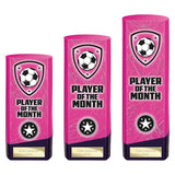 Prime Heavyweight Player of Month - Trophies - Prudhoe Rosettes