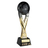 Extreme Football Players Player Award