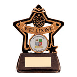 Little Star Well Done Award