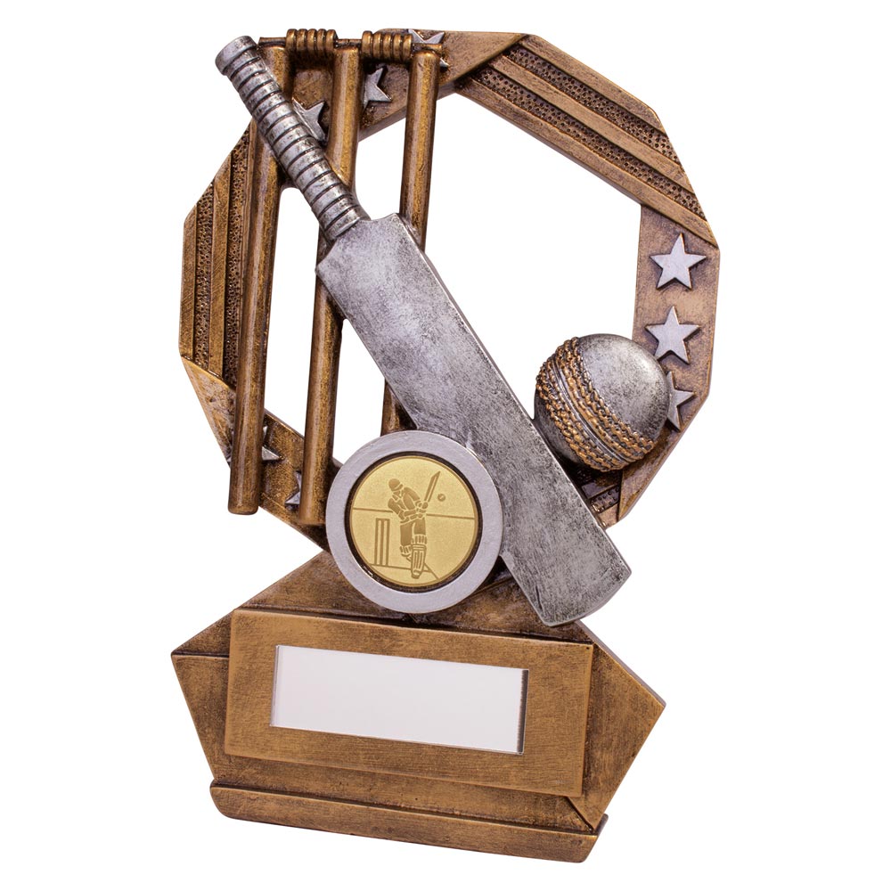 Enigma Cricket Award