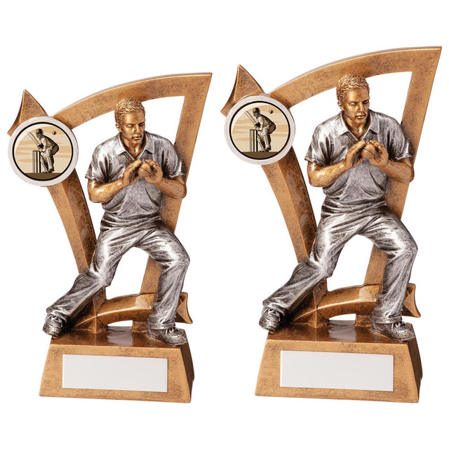 Predator Cricket Fielder Award - Trophies - Prudhoe Rosettes