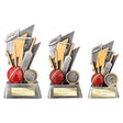 Strike Bolt Cricket Award - Trophies - Prudhoe Rosettes