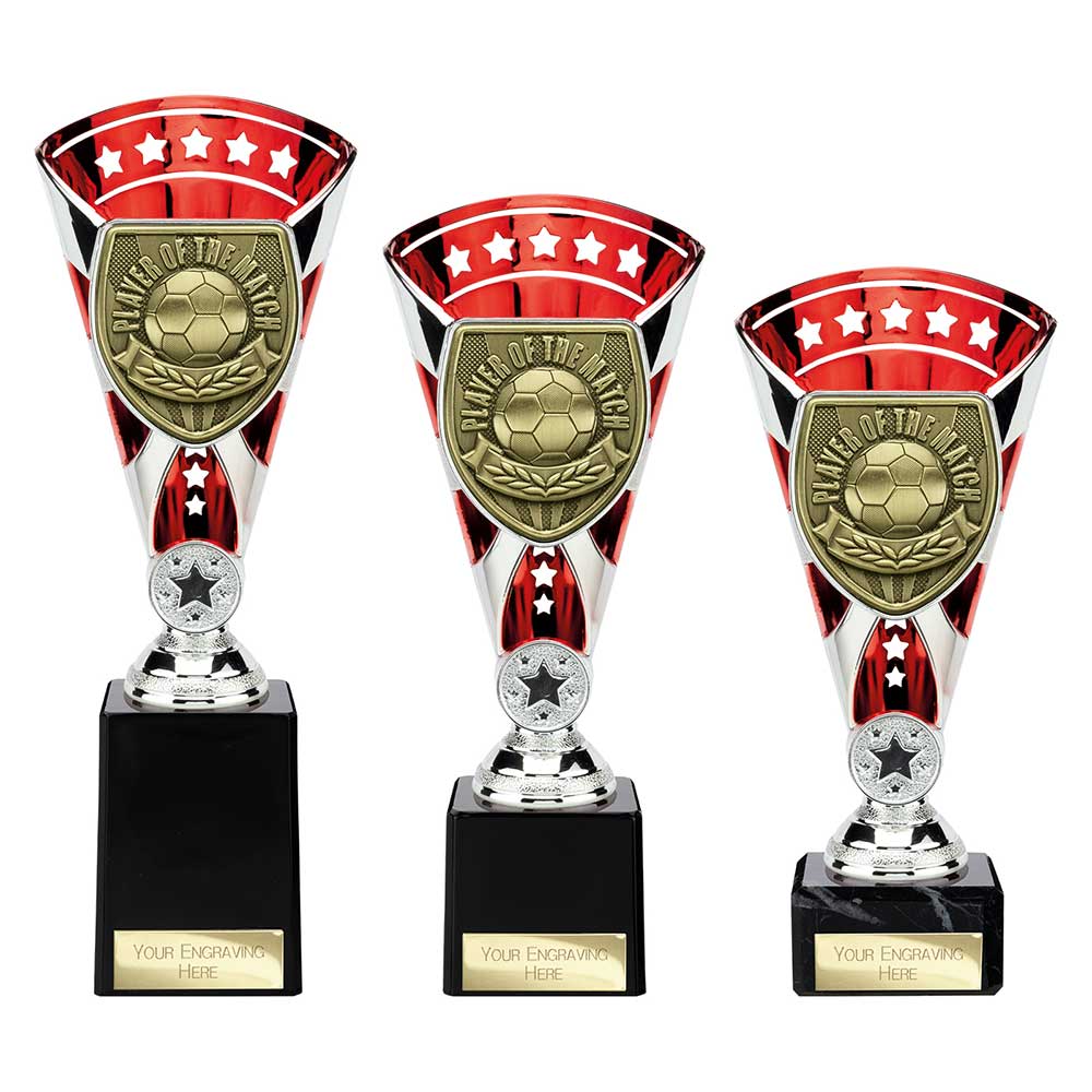 Cobra Star Cup Player of Match - Trophies - Prudhoe Rosettes