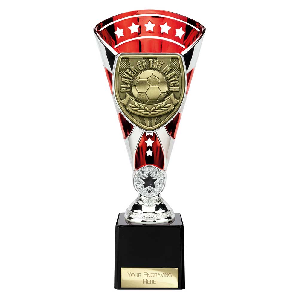Cobra Star Cup Player of Match