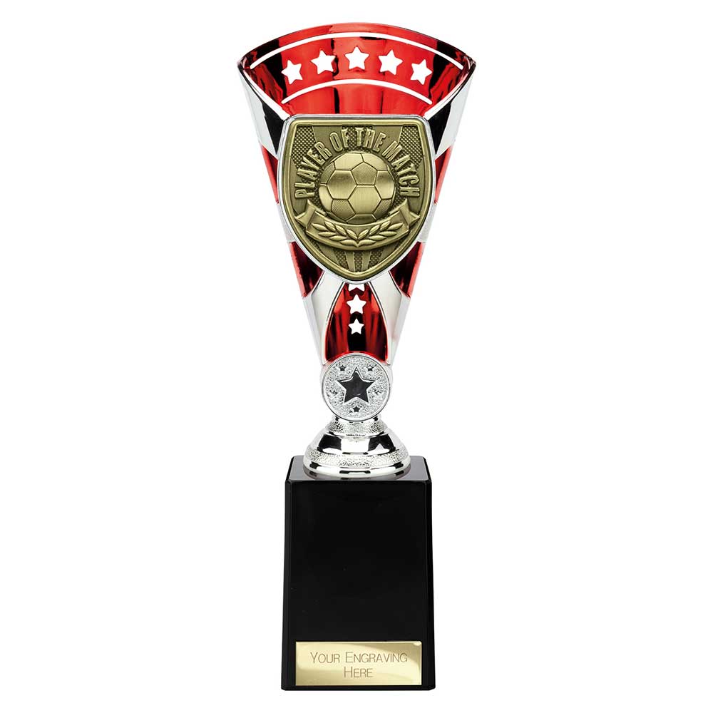 Cobra Star Cup Player of Match