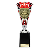 Cobra Star Cup Player of Match