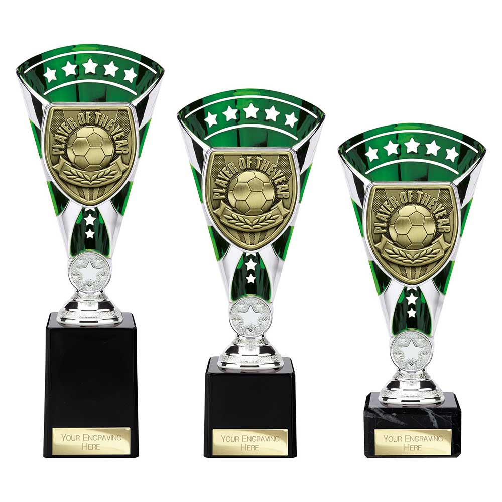 Cobra Star Cup Player of Year - Trophies - Prudhoe Rosettes