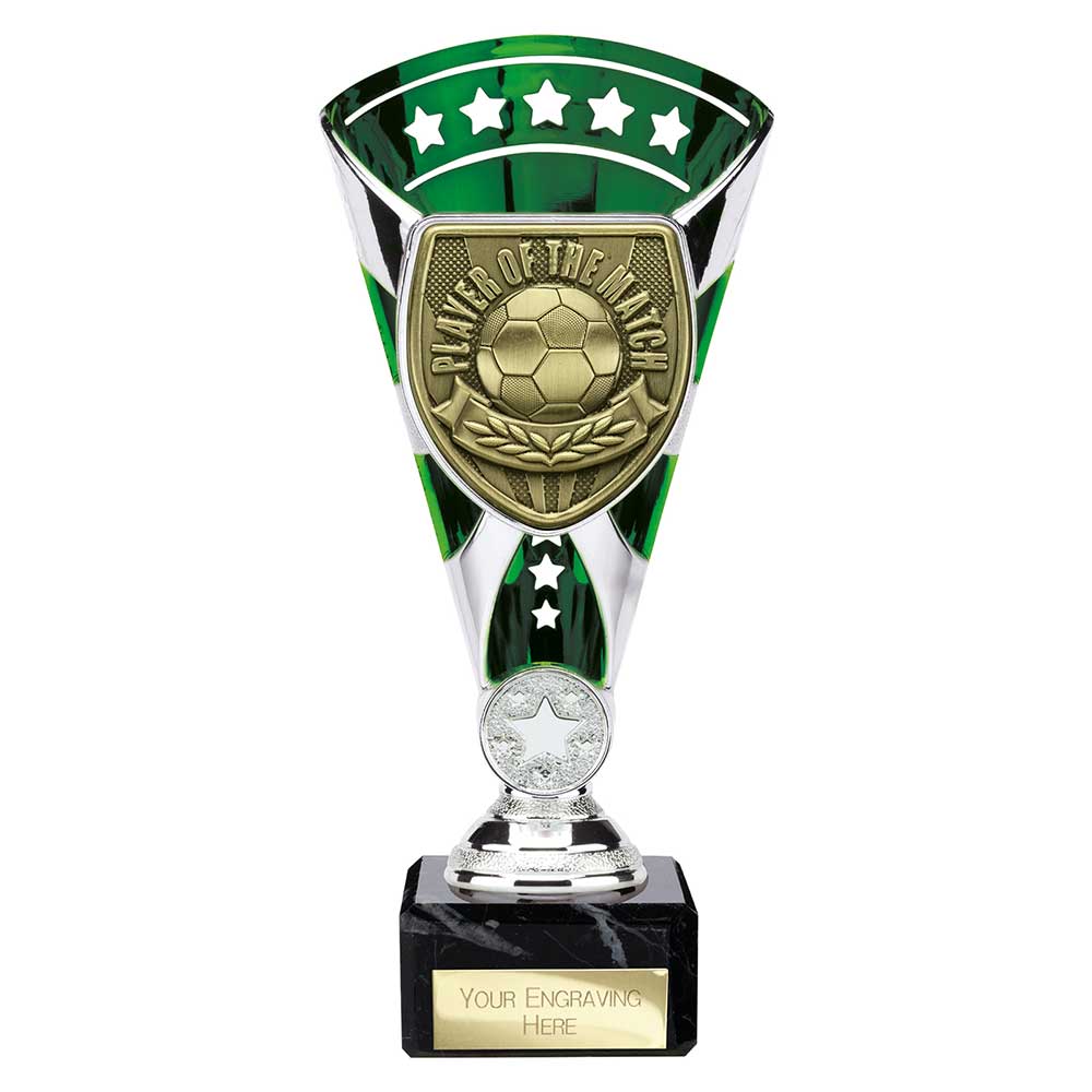 Cobra Star Cup Player of Match