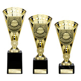 Cobra Star Cup Managers Player - Trophies - Prudhoe Rosettes